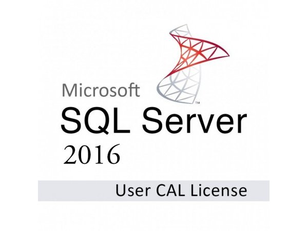 Microsoft SQL Server 2016 Client Access License (1 User) (SFT-MS-SQL16CAL1U)